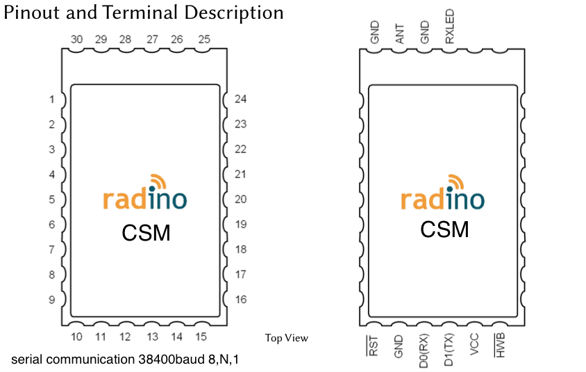 Pinout and terminal description of the radino CSM