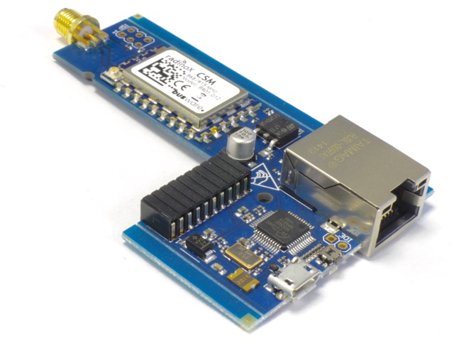 Board with Ethernet jack, radio module and SMA antenna connector